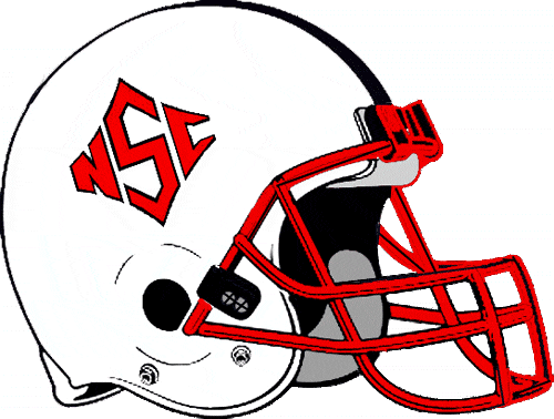 North Carolina State Wolfpack 1986-1998 Helmet Logo DIY iron on transfer (heat transfer)